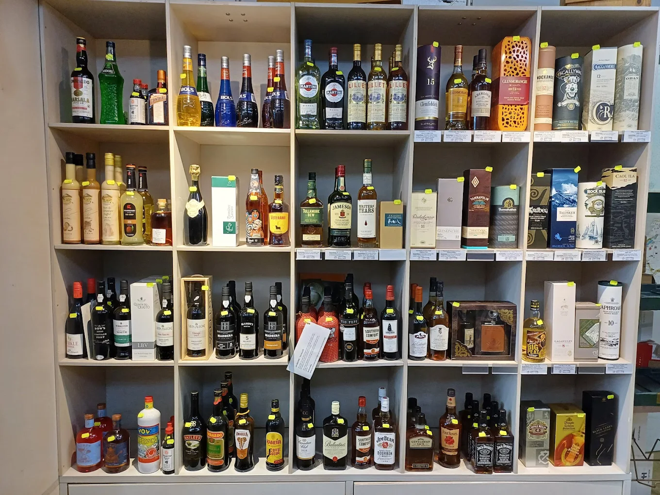 FeMi Regal FeMi Regal