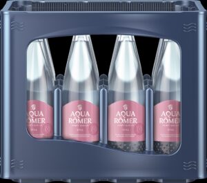aqua-roemer-sanft-quelle-still-12x075-l-glas